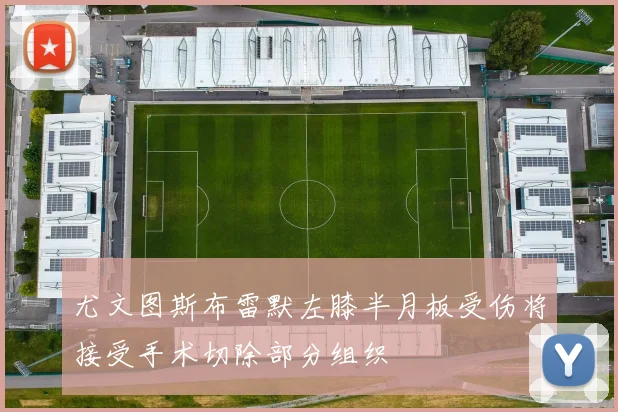 尤文图斯布雷默左膝半月板受伤将接受手术切除部分组织