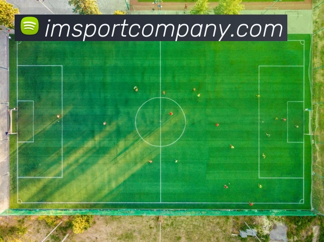 IM足球体育发展历程